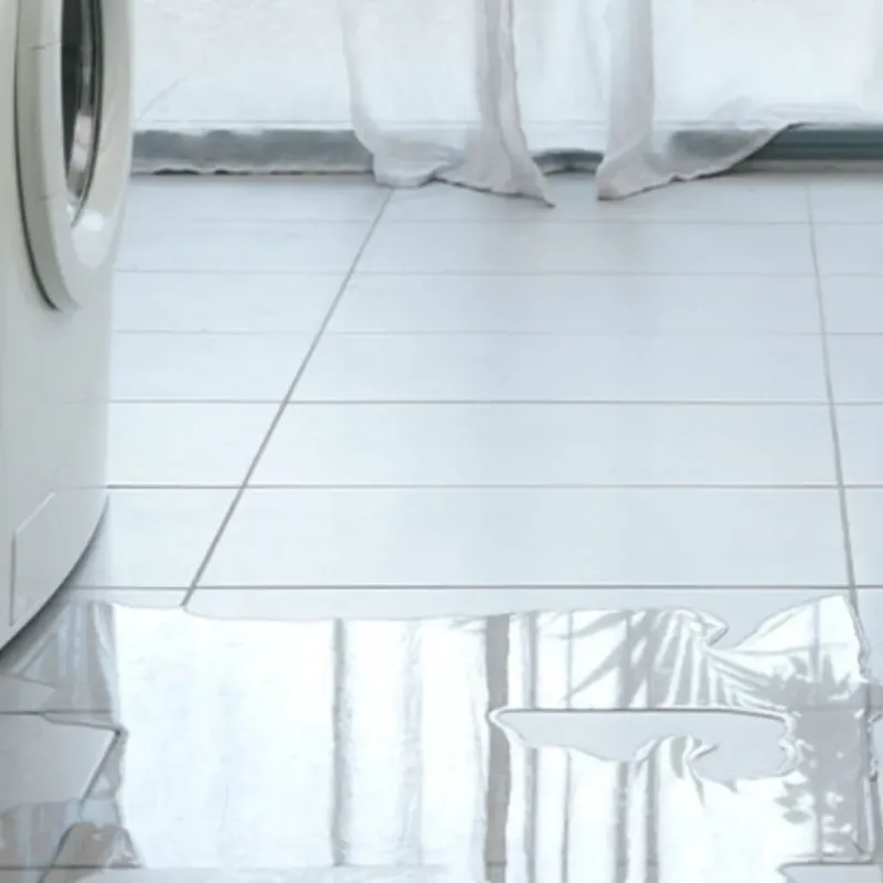 Appliance Leak Cleanup in Ballplay, AL