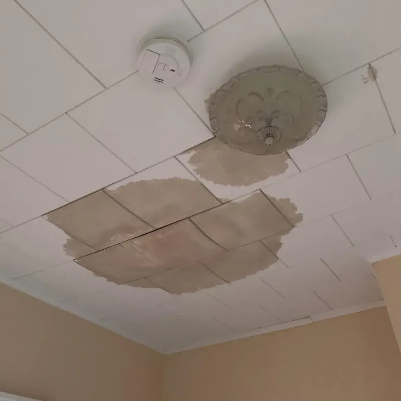Ceiling Water Damage Repair in Ballplay, AL