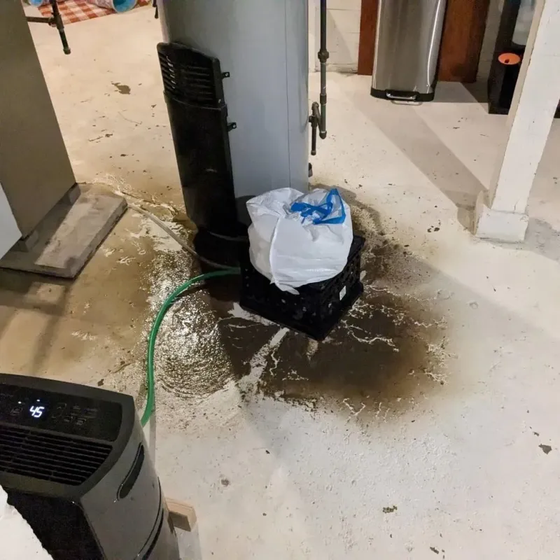 Sewage Backup Cleanup Service in Ballplay, AL